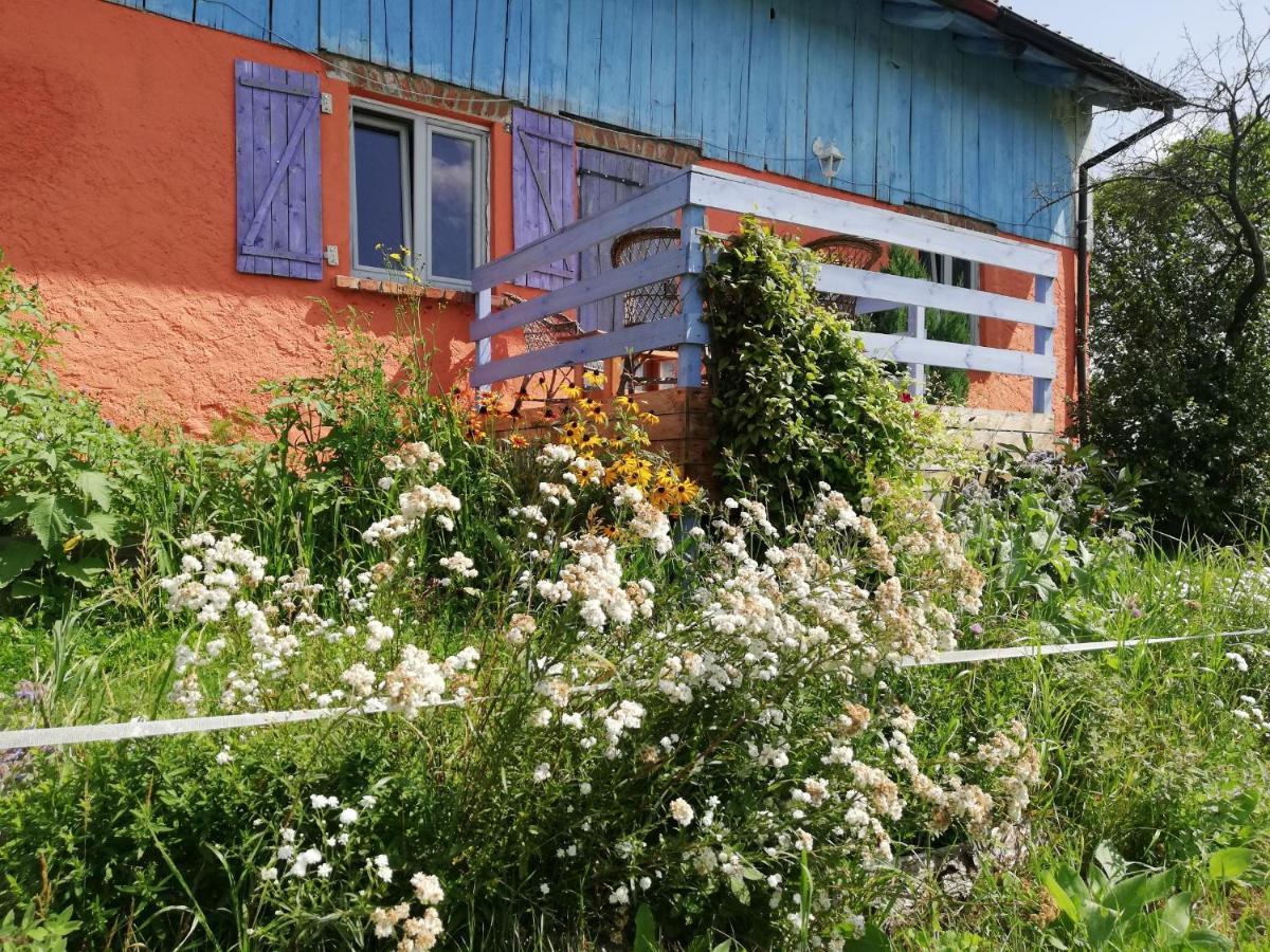 Bisztynek Folwark Malinowy Chrusniakヴィラ エクステリア 写真